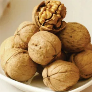 Premium Walnuts In Shell(Akhrot)
